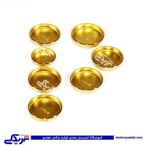 پولک آب اونجر پیکان فدرال موتورز 9000999066