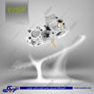 تصویر از پژو پوسته هوزینگ 405 (طرح ساژم ) gisp 476951