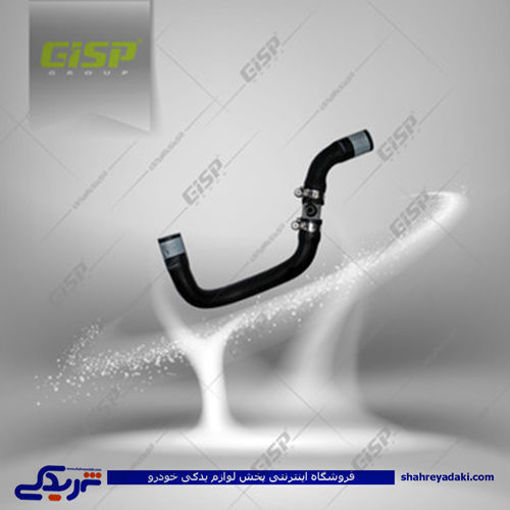 پژو شیلنگ 405 بخاری کوتاه گاز سوز GISP 458062