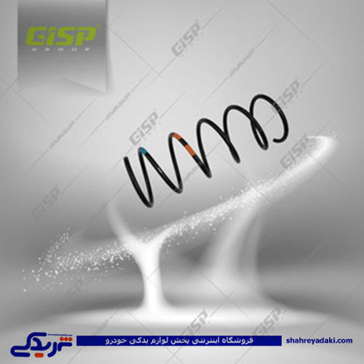 پژو فنرلول 206 جلو GISP 206101