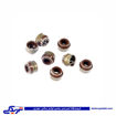 پژو لاستیک سوپاپ 405 دینا پارت ویتون VITON 1202069