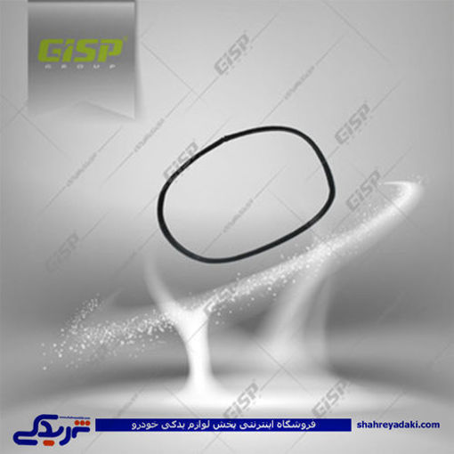 پژو نوار درب صندوق عقب 206 SD GISP 264618