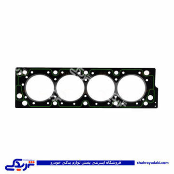 پژو واشر سرسیلندر 405 2 سوراخ خاص تمل دینا پارت 1202255