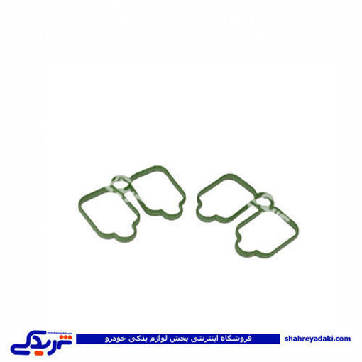 پژو واشر منیفولد 405 سبز عینکی دینا پارت 1202065