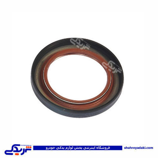 پژو کاسه نمد جلو میل لنگ 405 ویژن 1711008