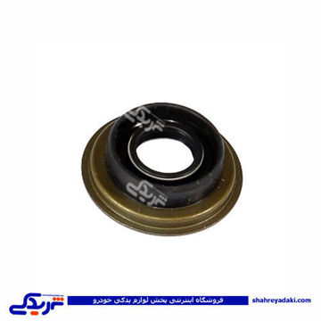 پژو کاسه نمد ماهک دنده 405 CBS 900