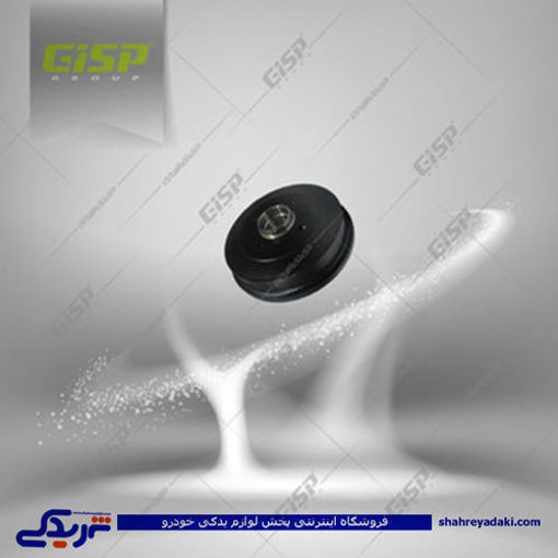 پژو کاسه چرخ 206 عقب تیپ 3 abs مارک gisp 229705