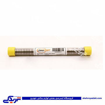 پژو شیم سوپاپ 405 سایز 2.90 دینا پارت بسته 25 عددی 1202305
