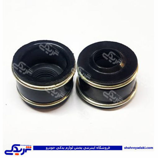 لاستیک سوپاپ 2 فنره پیکان وست مونت AMT 9000251051