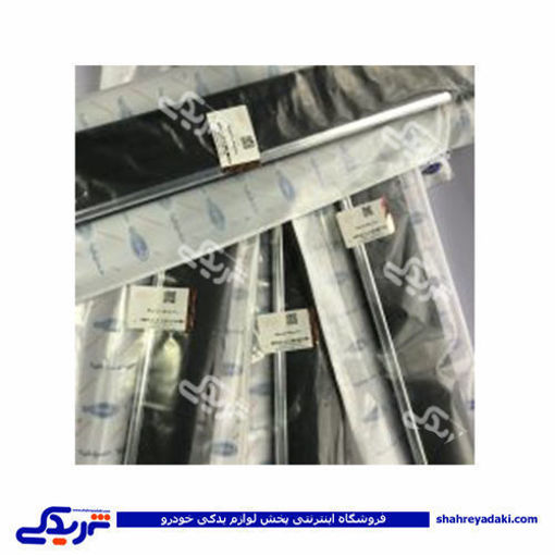 پژو زه درب پارس عقب راست دینا پارت 1705045