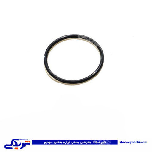 پراید اورینگ دلکو انژکتوری هانترپارت  HUNTER  417772 ( عمده )