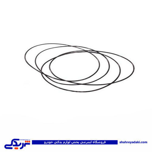 پژو اورینگ بوش پیستون 206 ویژن 9000244003