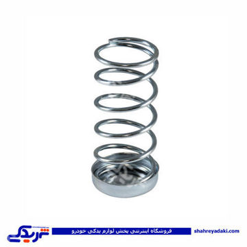 پژو فنر پلوس 405 9000803221