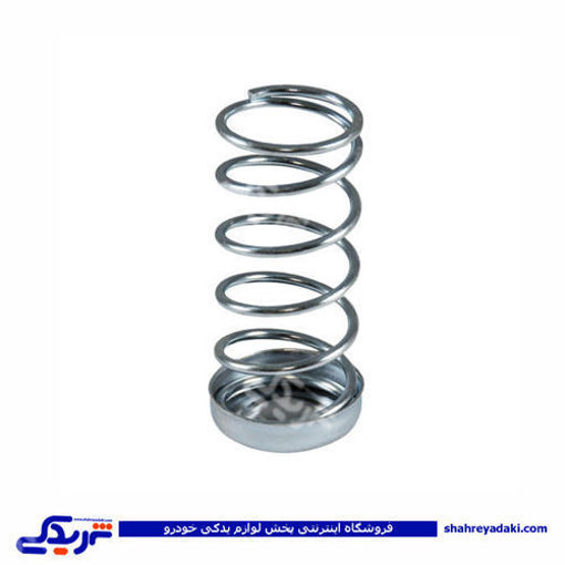 پژو فنر پلوس 405 9000803221