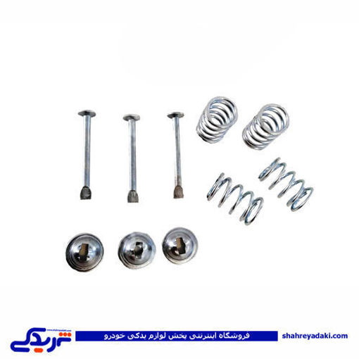 پژو میخ و پولک کفشک 405 و سمند آذین 9000562135