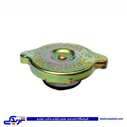 درب رادیات پیکان TZF طرح ساده 10002853