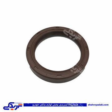 پژو کاسه نمد عقب گیربکس روآ ROA2280 cbs