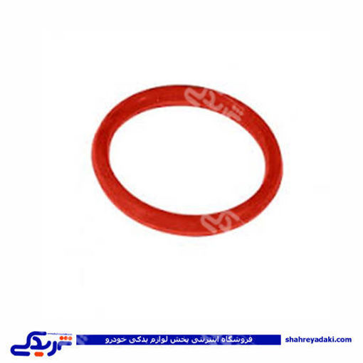 پژو اورینگ منیفولد 206 دریچه هوا 9000803033