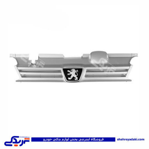 پژو جلو پنجره 405 9000301209
