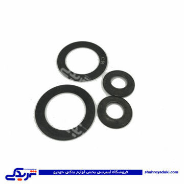واشر دیشلی آرژانتینی پیکان 9000999092