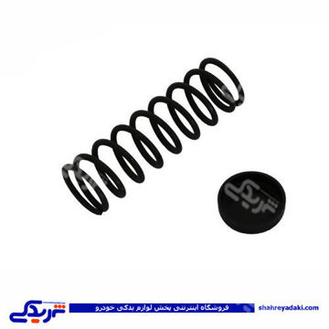 پژو فنر پلوس 206 9000803220