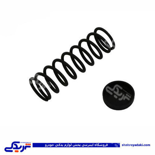 پژو فنر پلوس 206 9000803220