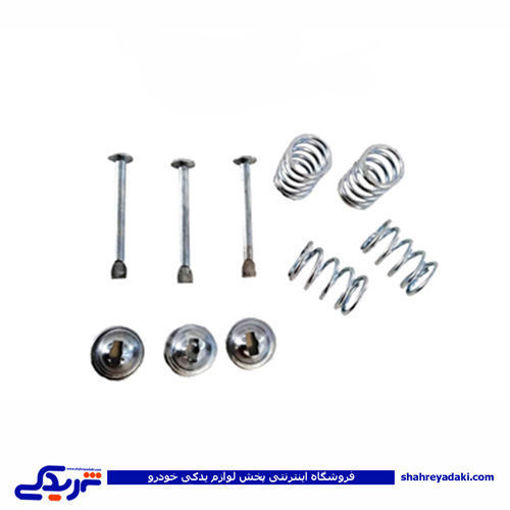 پژو میخ و پولک کفشک 206 تیپ2 جعبه اوریجنال 9000803246