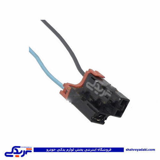 ال 90 سوکت 2 فیش قهوه ای ، مشکی L90 9000143259 ( عمده )