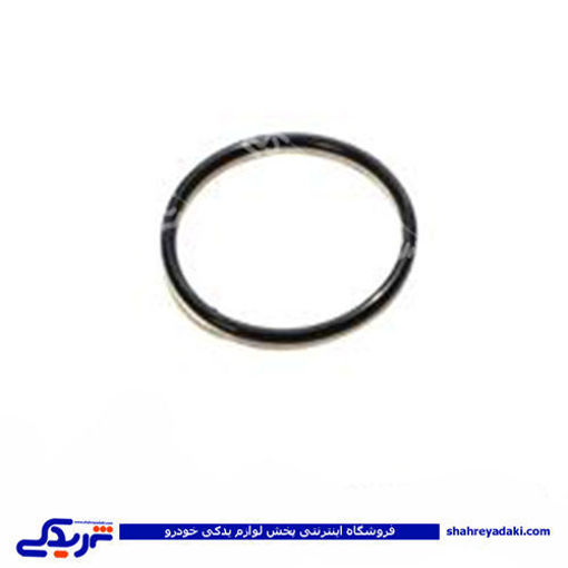 پراید اورینگ دلکو انژکتور سایپا یدک   514056P13 ( عمده )