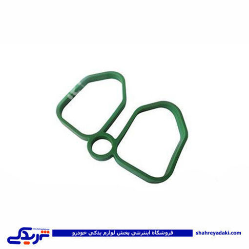 پژو واشر منیفولد 405سبز عینکی ایساکو کد307 1861100307