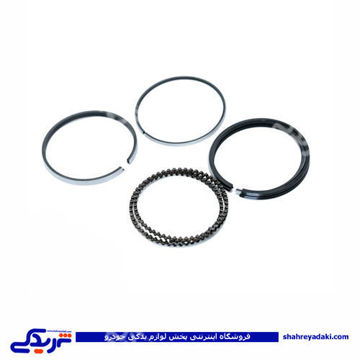پژو رینگ موتور روآ ROA سایز 40 RIK 40107/40