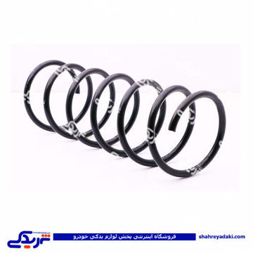 پژو فنرلول جلو 405 9000873025