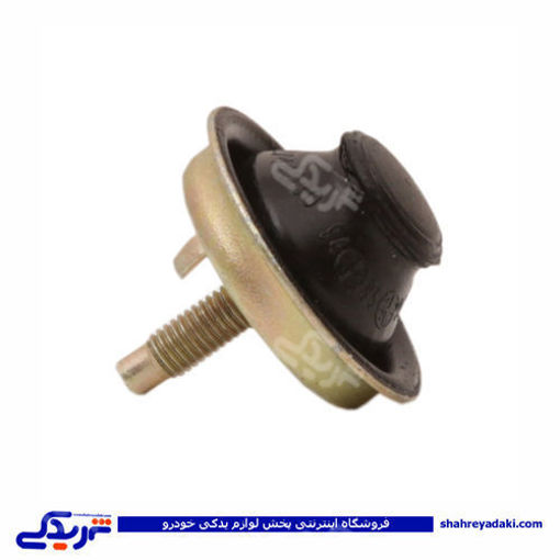 پژو لاستیک ضربگیر طرفین راست 206 1604031
