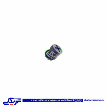 پژو پیچ تخلیه رادیاتور( شیر تخلیه ) سمند EF7 9000803345