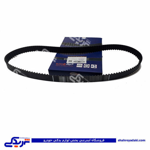 پژو تسمه تایم 206 تیپ 5 134 دندانه رایکالتون دینا پارت 1602303
