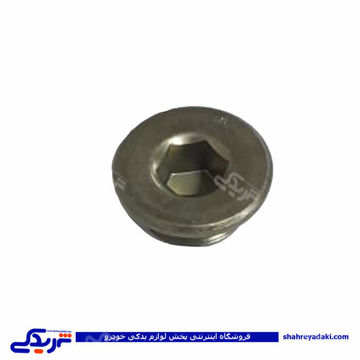 پژو کورکن کانال روغن سیلندر 405 و سمند 9000803365