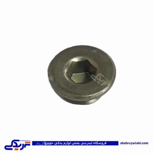 پژو کورکن کانال روغن سیلندر 405 و سمند 9000803365