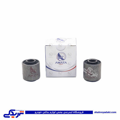 پژو بوش دو شاخه رام 405 آماتاصمد 11040578