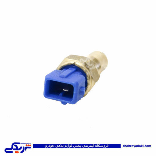 پژو مهره آب 405 تک فیش آبی آماتاصمد 11080018