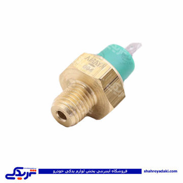 پژو مهره روغن سمند EF7 آماتاصمد 13080118