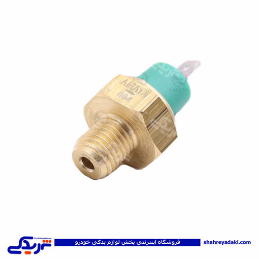 پژو مهره روغن سمند EF7 آماتاصمد 13080118