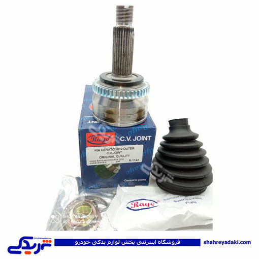 سراتو 2012 سرپلوس بیرونی 24 خار RAYO R-1142