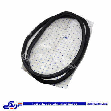 پژو نوار درب جلو راست 405 ایساکو 1820100499