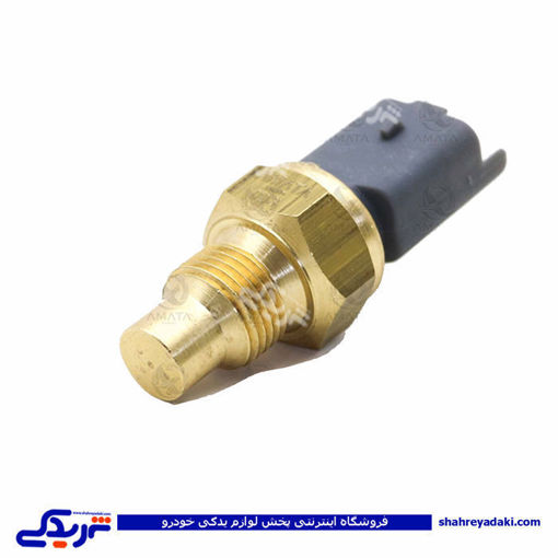 پژو مهره آب سه فیش سمند طوسی EF7 آماتاصمد 13080088