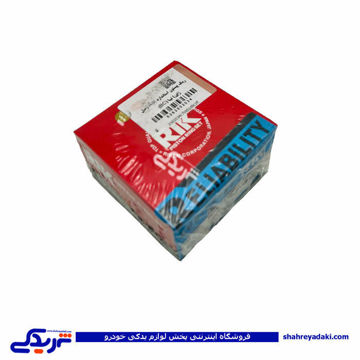تیبا رینگ موتور استاندارد (RIK) دیناپارت 2502034