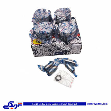 پژو پیستون موتور روآ RO30 با گژنپن و خار عظام 9000555052