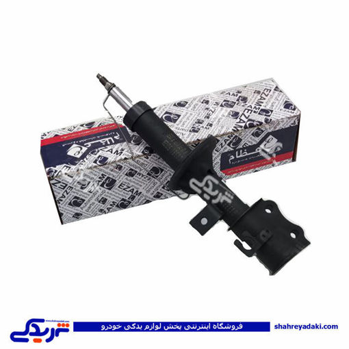 ساینا کمک جلو چپ عظام 3183072