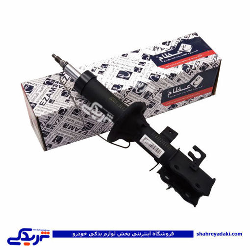 ساینا کمک جلو راست عظام 3183071