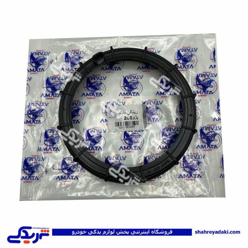 پژو مهره درجه باک رینگی 206 آماتاصمد 15030098