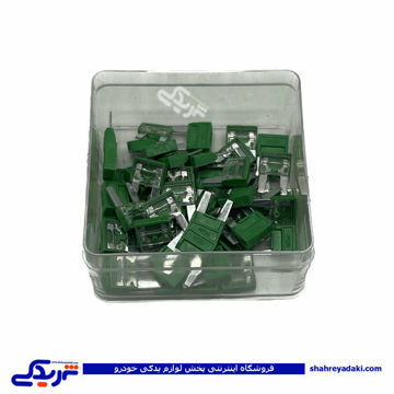 پژو فیوز دو شاخ 206 آمپر 30 9000601364